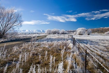 agricultural;agriculture;beautiful;calm;calmness;Central-Otago;clean;clear;cold;Coldness;Color;Colour;country;countryside;Daytime;dusty;Exterior;farm;farming;farmland;farms;fence;fence-line;fence-lines;fence_line;fence_lines;fenceline;fencelines;fences;field;fields;freeze;freezing;freezing-fog;frost;Frosted;frosty;gravel-road;gravel-roads;Hawkdun-Range;Hawkdun-Ranges;high-country;hoar-frost;hoar-frosts;Hoarfrost;hoarfrosts;ice;ice-crystals;icy;Ida-Valley;idyllic;Landscape;Landscapes;Maniototo;meadow;meadows;metal-road;metal-roads;metalled-road;metalled-roads;N.Z.;natural;Nature;new-zealand;NZ;Otago;Oturehua;Outdoor;Outdoors;Outside;paddock;paddocks;pasture;pastures;peaceful;Peacefulness;phenomena;phenomenon;pure;Quiet;Quietness;rime;rime-ice;road;roads;rural;S.I.;Scenic;Scenics;Season;Seasons;SI;silence;south-island;spectacular;stunning;tranquil;tranquility;tree;trees;view;water;weather;White;willow;willow-tree;willow-trees;willows;winter;Wintertime;wintery;wintry