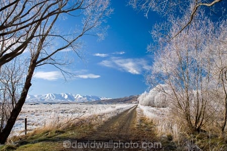 agricultural;agriculture;beautiful;calm;calmness;Central-Otago;Central-Otago-Rail-Trail;clean;clear;cold;Coldness;Color;Colour;country;countryside;Daytime;Exterior;farm;farming;farmland;farms;field;fields;freeze;freezing;freezing-fog;frost;Frosted;frosty;high-country;hoar-frost;hoar-frosts;Hoarfrost;hoarfrosts;ice;ice-crystals;icy;Ida-Valley;idyllic;Landscape;Landscapes;Maniototo;meadow;meadows;N.Z.;natural;Nature;new-zealand;NZ;Otago;Otago-Central-Rail-Trail;Oturehua;Outdoor;Outdoors;Outside;paddock;paddocks;pasture;pastures;peaceful;Peacefulness;phenomena;phenomenon;pure;Quiet;Quietness;rail-trail;rail-trails;rime;rime-ice;rural;S.I.;Scenic;Scenics;Season;Seasons;SI;silence;south-island;spectacular;stunning;tranquil;tranquility;tree;trees;view;water;weather;White;willow;willow-tree;willow-trees;willows;winter;Wintertime;wintery;wintry