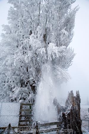Alexandra;beautiful;calm;calmness;Central-Otago;clean;clear;cold;Coldness;Color;Colour;crash;Daytime;Exterior;falling;freeze;freezing;freezing-fog;frost;Frosted;frosty;Fruitlands;high-country;hoar-frost;hoar-frosts;Hoarfrost;hoarfrosts;ice;ice-crystals;icy;idyllic;Landscape;Landscapes;N.Z.;natural;Nature;new-zealand;NZ;Otago;Outdoor;Outdoors;Outside;peaceful;Peacefulness;phenomena;phenomenon;poplar;poplar-tree;poplar-trees;poplars;pure;Quiet;Quietness;rime;rime-ice;S.I.;Scenic;Scenics;Season;Seasons;SI;silence;south-island;spectacular;stunning;tranquil;tranquility;tree;trees;view;water;weather;White;winter;Wintertime;wintery;wintry