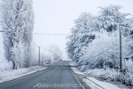 beautiful;calm;calmness;Central-Otago;clean;clear;cold;Coldness;Color;Colour;Daytime;driving;Exterior;freeze;freezing;freezing-fog;frost;Frosted;frosty;high-country;highway;highways;hoar-frost;hoar-frosts;Hoarfrost;hoarfrosts;ice;ice-crystals;icy;icy-road;icy-roads;idyllic;Landscape;Landscapes;N.Z.;natural;Nature;new-zealand;NZ;open-road;open-roads;Otago;Outdoor;Outdoors;Outside;peaceful;Peacefulness;phenomena;phenomenon;poplar;poplar-tree;poplar-trees;poplars;pure;Quiet;Quietness;rime;rime-ice;road;road-trip;roads;S.I.;Scenic;Scenics;Season;Seasons;SI;silence;slippery-road;slippery-roads;south-island;spectacular;straight;stunning;tranquil;tranquility;transport;transportation;travel;traveling;travelling;tree;trees;trip;view;water;weather;White;winter;winter-driving;winter-driving-conditions;winter-road;winter-roads;Wintertime;wintery;wintry