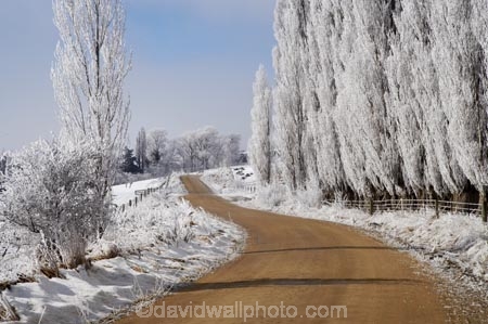 beautiful;calm;calmness;Central-Otago;clean;clear;cold;Coldness;Color;Colour;countryside;Daytime;Exterior;extreme-weather;freeze;freezing;frost;Frosted;frosts;frosty;gravel-road;gravel-roads;high-country;hoar-frost;hoar-frosts;Hoarfrost;hoarfrosts;ice;ice-crystals;icy;idyllic;Landscape;Landscapes;Maniototo;metal-road;metal-roads;metalled-road;metalled-roads;N.Z.;natural;Nature;new-zealand;NZ;Otago;Oturehua;Outdoor;Outdoors;Outside;peaceful;Peacefulness;phenomena;phenomenon;poplar-tree;poplar-trees;poplars;pure;Quiet;Quietness;rime;rime-ice;road;roads;rural;S.I.;Scenic;Scenics;Season;Seasons;SI;silence;South-Is.;South-Island;spectacular;stunning;tranquil;tranquility;view;water;weather;White;winter;Wintertime;wintery;wintry