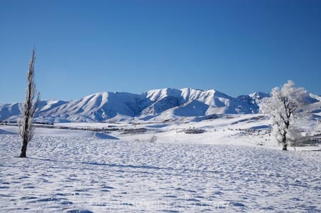 agricultural;agriculture;beautiful;calm;calmness;Central-Otago;clean;clear;cold;Coldness;Color;Colour;country;countryside;Daytime;Exterior;extreme-weather;farm;farming;farmland;farms;field;fields;freeze;freezing;frost;Frosted;frosts;frosty;high-country;hoar-frost;hoar-frosts;Hoarfrost;hoarfrosts;ice;ice-crystals;icy;Ida-Range;idyllic;Landscape;Landscapes;Little-Mount-Ida;Little-Mt-Ida;Little-Mt.-Ida;Maniototo;meadow;meadows;Mount-Ida;Mt-Ida;Mt.-Ida;N.Z.;natural;Nature;new-zealand;NZ;Otago;Outdoor;Outdoors;Outside;paddock;paddocks;pasture;pastures;peaceful;Peacefulness;phenomena;phenomenon;pure;Quiet;Quietness;rime;rime-ice;rural;S.I.;Scenic;Scenics;Season;Seasons;SI;silence;South-Is.;South-Island;spectacular;stunning;tranquil;tranquility;view;water;weather;Wedderburn;White;winter;Wintertime;wintery;wintry