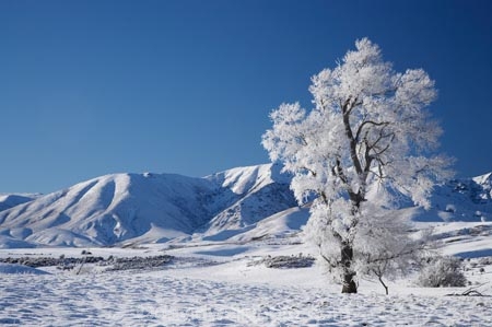 agricultural;agriculture;beautiful;calm;calmness;Central-Otago;clean;clear;cold;Coldness;Color;Colour;country;countryside;Daytime;Exterior;extreme-weather;farm;farming;farmland;farms;field;fields;freeze;freezing;frost;Frosted;frosts;frosty;high-country;hoar-frost;hoar-frosts;Hoarfrost;hoarfrosts;ice;ice-crystals;icy;Ida-Range;idyllic;Landscape;Landscapes;Maniototo;meadow;meadows;Mount-Ida;Mt-Ida;Mt.-Ida;N.Z.;natural;Nature;new-zealand;NZ;Otago;Outdoor;Outdoors;Outside;paddock;paddocks;pasture;pastures;peaceful;Peacefulness;phenomena;phenomenon;pure;Quiet;Quietness;rime;rime-ice;rural;S.I.;Scenic;Scenics;Season;Seasons;SI;silence;South-Is.;South-Island;spectacular;stunning;tranquil;tranquility;view;water;weather;Wedderburn;White;winter;Wintertime;wintery;wintry