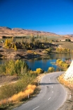 road;tarseal;sealed;tarsealed;curve;colour;colours;color;colors;yellow;autumn;gold;golden;fall;poplar;poplars;willow;willows;lakes;bank;edge;tranquil;calm;blue;sky
