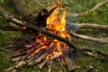 burn;burned;burning;burns;burnt;camp-fire;camp-fires;camp_fire;camp_fires;campfire;campfires;Central-Otago;cooking-fire;cooking-fires;danger;dangerous;fire;fires;flamable;flame;flames;flaming;heat;hot;N.Z.;New-Zealand;NZ;on-fire;orange;Otago;S.I.;SI;South-Is.;South-Island;wood;wood-fire;wood-fires;woodfire;woodfires