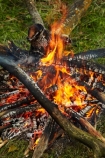 burn;burned;burning;burns;burnt;camp-fire;camp-fires;camp_fire;camp_fires;campfire;campfires;Central-Otago;cooking-fire;cooking-fires;danger;dangerous;fire;fires;flamable;flame;flames;flaming;heat;hot;N.Z.;New-Zealand;NZ;on-fire;orange;Otago;S.I.;SI;South-Is.;South-Island;wood;wood-fire;wood-fires;woodfire;woodfires