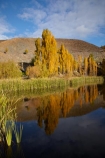 autuminal;autumn;autumn-colour;autumn-colours;autumnal;Bannockburn;calm;Central-Otago;color;colors;colour;colours;Cromwell;deciduous;fall;gold;golden;leaf;leaves;N.Z.;New-Zealand;NZ;Otago;placid;pond;ponds;poplar;poplar-tree;poplar-trees;poplars;quiet;reeds;reflection;reflections;S.I.;season;seasonal;seasons;serene;SI;smooth;South-Is;South-Island;Sth-Is;still;tranquil;tree;trees;water;yellow