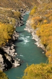 Autumn;central-otago;Cromwell;fall;Kawarau-Gorge;Kawarau-River;New-Zealand;Queenstown-Road;river;riverscolour;season;seasonal;seasons;South-Island;tree;trees;valley;valleys;willow;willows;yellow