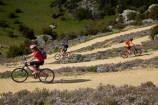 bicycle;bicycles;bike;bike-track;bike-tracks;bike-trail;bike-trails;bikes;Central-Otago;child;children;cycle;cycle-track;cycle-tracks;cycle-trail;cycle-trails;cycler;cyclers;cycles;cyclist;cyclists;families;family;hairpin-bend;hairpin-bends;hairpin-corner;hairpin-corners;mountain-bike;mountain-biker;mountain-bikers;mountain-bikes;mtn-bike;mtn-biker;mtn-bikers;mtn-bikes;N.Z.;New-Zealand;NZ;Otago;people;person;push-bike;push-bikes;push_bike;push_bikes;pushbike;pushbikes;Roxburgh;Roxburgh-Cycle-Track;Roxburgh-Cycle-Trail;Roxburgh-Gorge;Roxburgh-Gorge-Cycle-and-Walking-Trail;Roxburgh-Gorge-Cycle-Track;Roxburgh-Gorge-Cycle-Trail;Roxburgh-Gorge-Track;Roxburgh-Gorge-Trail;Roxburgh-Gorge-Walking-and-Cycle-Trail;S.I.;season;seasonal;seasons;SI;South-Is;South-Island;spring;spring-time;steep;Sth-is;switchback;switchback-road;switchback-roads;switchbacks;thyme;thyme-in-flower;tourism;tourist;tourists;violet;wild-thyme;zig-zag;zig-zag-road;zig-zag-roads;zig-zags;zig_zag;zig_zag-road;zig_zag-roads;zig_zags;zigzag;zigzag-road;zigzag-roads;zigzags