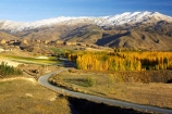 agricultural;agriculture;autuminal;autumn;autumnal;bannockburn;bannockburn-sluicings;bend;bends;central-otago;central-otago-vineyard;central-otago-vineyards;central-otago-wineries;central-otago-winery;color;colors;colour;colours;corner;corners;country;countryside;crop;crops;cultivation;deciduous;driving;erosion;fall;farm;farming;farmland;farms;field;fields;gold-rush;gold-workings;grape;grapes;grapevine;highway;highways;horticulture;leaf;leaves;Mount-Difficulty;Mount-Difficulty-Vineyard;Mount-Difficulty-Winery;Mt-Difficulty;Mt-Difficulty-Vineyard;Mt-Difficulty-Winery;Mt.-Difficulty;Mt.-Difficulty-Vineyard;Mt.-Difficulty-Winery;new-zealand;open-road;open-roads;poplar;poplar-tree;poplar-trees;poplars;road;road-trip;roads;row;rows;rural;sluicing;sluicings;south-island;straight;tailing;tailings;transport;transportation;travel;traveling;travelling;tree;trees;trip;vine;vines;vineyard;vineyards;vintage;wine;wineries;winery;wines