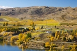 agricultural;agriculture;autuminal;autumn;Autumn-Colours;autumnal;Bannockburn-Inlet;cairnmuir-campground;cairnmuir-mountains;cairnmuir-range;campground;campgrounds;camping-ground;camping-grounds;Central-Otago;central-otago-vineyard;central-otago-vineyards;central-otago-wineries;central-otago-winery;color;colors;colour;colours;country;countryside;cromwell;crop;crops;cultivation;deciduous;fall;farm;farming;farmland;farms;field;fields;gold;golden;grape;grapes;grapevine;horticulture;kawarau-arm;lake;lake-dunstan;lakes;leaf;leaves;New-Zealand;poplar;poplar-tree;poplar-trees;poplars;row;rows;rural;south-island;tree;trees;vine;vines;vineyard;vineyards;vintage;water;wine;wineries;winery;wines;yellow