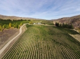 aerial;Aerial-drone;Aerial-drones;aerial-image;aerial-images;aerial-photo;aerial-photograph;aerial-photographs;aerial-photography;aerial-photos;aerial-view;aerial-views;aerials;agricultural;agriculture;Bannockburn;Central-Otago;central-otago-vineyard;central-otago-vineyards;central-otago-wineries;central-otago-winery;Ceres-Vineyard;Ceres-Wines;Ceres-Wines-Vineyard;country;countryside;crop;crops;cultivation;Drone;Drones;emotely-operated-aircraft;farm;farming;farmland;farms;field;fields;grape;grapes;grapevine;horticulture;N.Z.;New-Zealand;NZ;Otago;Quadcopter;Quadcopters;remote-piloted-aircraft-systems;remotely-piloted-aircraft;remotely-piloted-aircrafts;ROA;row;rows;RPA;RPAS;rural;S.I.;SI;South-Is;South-Island;Sth-Is;U.A.V.;UA;UAS;UAV;UAVs;Unmanned-aerial-vehicle;unmanned-aircraft;unpiloted-aerial-vehicle;unpiloted-aerial-vehicles;unpiloted-air-system;vine;vines;vineyard;vineyards;vintage;wine;wineries;winery;wines