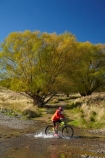 autuminal;autumn;autumn-colour;autumn-colours;autumnal;bicycle;bicycles;bike;bike-track;bike-tracks;bike-trail;bike-trails;bikes;brook;brooks;Central-Otago;Central-Otago-Cycle-Trail;Central-Otago-Rail-Trail;color;colors;colour;colours;creek;creeks;cycle;cycle-track;cycle-tracks;cycle-trail;cycle-trails;cycler;cyclers;cycles;cycleway;cycleways;cyclist;cyclists;deciduous;excercise;excercising;fall;gold;golden;Ida-Burn;Ida-Burn-Creek;Ida-Burn-Stream;Idaburn;Idaburn-Creek;Idaburn-Stream;Idaburn-Valley;leaf;leaves;model-released;mountain-bike;mountain-biker;mountain-bikers;mountain-bikes;MR;mtn-bike;mtn-biker;mtn-bikers;mtn-bikes;N.Z.;New-Zealand;NZ;Otago;Otago-Central-Cycle-Trail;Otago-Central-Rail-Trail;Otago-Rail-Trail;people;person;push-bike;push-bikes;push_bike;push_bikes;pushbike;pushbikes;rail-trail;rail-trails;S.I.;season;seasonal;seasons;SI;South-Is;South-Island;splash;splashing;Sth-Is;stream;streams;teenager;teenagers;tree;trees;yellow