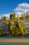 autuminal;autumn;autumn-colour;autumn-colours;autumnal;Bannockburn;Central-Otago;color;colors;colour;colours;Cromwell;deciduous;fall;gold;golden;Kawarau-Arm;Kawarau-River;lake;Lake-Dunstan;lakes;leaf;leaves;N.Z.;New-Zealand;NZ;Otago;poplar;poplar-tree;poplar-trees;poplars;river;rivers;S.I.;season;seasonal;seasons;SI;South-Is;South-Island;Sth-Is;tree;trees;yellow