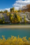 autuminal;autumn;autumn-colour;autumn-colours;autumnal;Bannockburn;Central-Otago;color;colors;colour;colours;Cromwell;deciduous;fall;gold;golden;Kawarau-Arm;Kawarau-River;lake;Lake-Dunstan;lakes;leaf;leaves;N.Z.;New-Zealand;NZ;Otago;poplar;poplar-tree;poplar-trees;poplars;river;rivers;S.I.;season;seasonal;seasons;SI;South-Is;South-Island;Sth-Is;tree;trees;yellow