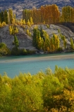 autuminal;autumn;autumn-colour;autumn-colours;autumnal;Bannockburn;Central-Otago;color;colors;colour;colours;Cromwell;deciduous;fall;gold;golden;Kawarau-Arm;Kawarau-River;lake;Lake-Dunstan;lakes;leaf;leaves;N.Z.;New-Zealand;NZ;Otago;poplar;poplar-tree;poplar-trees;poplars;river;rivers;S.I.;season;seasonal;seasons;SI;South-Is;South-Island;Sth-Is;tree;trees;yellow