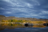 Alexandra;autuminal;autumn;autumn-colour;autumn-colours;autumnal;Butchers-Dam;Butchers-Dam;calm;Central-Otago;color;colors;colour;colours;dam;dams;deciduous;fall;gold;golden;lake;lakes;leaf;leaves;N.Z.;New-Zealand;NZ;Otago;placid;quiet;reflected;reflection;reflections;S.I.;season;seasonal;seasons;serene;SI;smooth;South-Is;South-Island;Sth-Is;still;tranquil;tree;trees;water;yellow