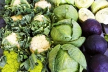cabbage;cabbages;cauli_broc;cauli_brocs;caulibroc;caulibrocs;cauliflower;cauliflowers;Central-Otago;colorful;colourful;commerce;commercial;food;food-market;food-markets;food-stall;food-stalls;fruit;fruit-and-vegetables;fruit-market;market;market-place;market_place;marketplace;markets;New-Zealand;produce;produce-market;produce-markets;product;products;red-cabbage;red-cabbages;retail;retailer;retailers;shop;shopping;shops;South-Island;stall;stalls;steet-scene;street-scenes;vegetable;vegetable-stall;vegetables