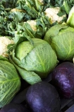 cabbage;cabbages;cauliflower;cauliflowers;Central-Otago;colorful;colourful;commerce;commercial;food;food-market;food-markets;food-stall;food-stalls;fruit;fruit-and-vegetables;fruit-market;market;market-place;market_place;marketplace;markets;New-Zealand;produce;produce-market;produce-markets;product;products;red-cabbage;red-cabbages;retail;retailer;retailers;shop;shopping;shops;South-Island;stall;stalls;steet-scene;street-scenes;vegetable;vegetable-stall;vegetables