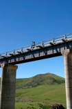 bridge;bridges;Central-Otago;central-otago-rail-trail;foot-bridge;foot-bridges;footbridge;footbridges;hiking-track;hiking-tracks;Hyde;New-Zealand;old-rail-line;old-railway-line;Otago-Central-Rail-Trail;pedestrian-bridge;pedestrian-bridges;people;prices-creek-viaduct;Prices-Creek-Viaduct;rail-line;rail-trail;rail-trails;South-Island;track;tracks;viaduct;viaducts;walking-track;walking-tracks