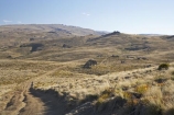 4wd-track;4wd-tracks;back-country;backcountry;Carrick-Range;Carrick-Town-Track;Carrick-Track;Carricktown-Track;Central-Otago;countryside;dirt-track;dusty;four-wheel-drive-track;four-wheel-drive-tracks;gravel-road;gravel-roads;high-altitude;high-country;highcountry;highlands;metal-road;metal-roads;metalled-road;metalled-roads;N.Z.;New-Zealand;NZ;Otago;remote;remoteness;road;roads;rural;S.I.;SI;South-Island;track;tracks;tussock;tussock-grass;tussocks;uplands
