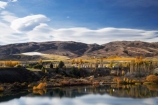autuminal;autumn;autumn-colour;autumn-colours;autumnal;Bannockburn;Bannockburn-Inlet;cairnmuir-mountains;cairnmuir-range;calm;Central-Otago;color;colors;colour;colours;deciduous;fall;lake;Lake-Dunstan;lakes;leaf;leaves;lenticular-cloud;lenticular-clouds;N.Z.;New-Zealand;NZ;Otago;placid;quiet;reflection;reflections;S.I.;season;seasonal;seasons;serene;SI;smooth;South-Island;still;tranquil;tree;trees;water