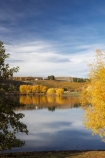 agricultural;agriculture;autuminal;autumn;autumn-colour;autumn-colours;autumnal;Bannockburn;Bannockburn-Inlet;calm;Central-Otago;central-otago-vineyard;central-otago-vineyards;central-otago-wineries;central-otago-winery;color;colors;colour;colours;country;countryside;crop;crops;cultivation;deciduous;fall;farm;farming;farmland;farms;field;fields;golden;grape;grapes;grapevine;horticulture;lake;Lake-Dunstan;lakes;leaf;leaves;N.Z.;new-zealand;NZ;Otago;placid;quiet;reflection;reflections;row;rows;rural;S.I.;season;seasonal;seasons;serene;SI;smooth;South-Island;still;tranquil;tree;trees;vine;vines;vineyard;vineyards;vintage;water;willow;willow-tree;willow-trees;willows;wineage;wineries;winery;wines;yellow