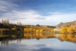 agricultural;agriculture;autuminal;autumn;autumn-colour;autumn-colours;autumnal;Bannockburn;Bannockburn-Inlet;calm;Central-Otago;central-otago-vineyard;central-otago-vineyards;central-otago-wineries;central-otago-winery;color;colors;colour;colours;country;countryside;crop;crops;cultivation;deciduous;fall;farm;farming;farmland;farms;field;fields;grape;grapes;grapevine;horticulture;lake;Lake-Dunstan;lakes;leaf;leaves;N.Z.;new-zealand;NZ;Otago;placid;quiet;reflection;reflections;row;rows;rural;S.I.;season;seasonal;seasons;serene;SI;smooth;South-Island;still;tranquil;tree;trees;vine;vines;vineyard;vineyards;vintage;water;willow;willow-tree;willow-trees;willows;wineage;wineries;winery;wines