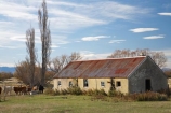 abandon;abandoned;agricultural;agriculture;castaway;Central-Otago;character;country;countryside;cow;cows;derelict;dereliction;deserted;desolate;desolation;destruction;farm;farming;farmland;farms;field;fields;Maniototo;meadow;meadows;N.Z.;neglect;neglected;New-Zealand;NZ;old;old-fashioned;old_fashioned;Otago;paddock;paddocks;pasture;pastures;Patearoa;poplar;poplars;ruin;ruins;run-down;rural;rustic;S.I.;SI;South-Island;vintage