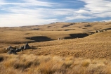 back-country;backcountry;Central-Otago;country;countryside;Department-of-Conservation-land;DOC-land;farm;farming;farmland;farms;field;fields;high-country;highcountry;highland;highlands;Lammermoor-Range;Lammermoor-Ranges;N.Z.;New-Zealand;NZ;Old-Dunstan-Road;Old-Dunstan-Track;Old-Dunstan-Trail;Otago;reserve;Rock-and-Pillar-Conservation-Area;Rock-and-Pillar-Range;Rock-and-Pillar-Ranges;rural;S.I.;SI;South-Island;tussock;tussocks
