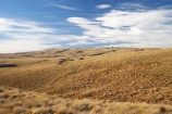 back-country;backcountry;Central-Otago;country;countryside;Department-of-Conservation-land;DOC-land;farm;farming;farmland;farms;field;fields;high-country;highcountry;highland;highlands;Lammermoor-Range;Lammermoor-Ranges;N.Z.;New-Zealand;NZ;Old-Dunstan-Road;Old-Dunstan-Track;Old-Dunstan-Trail;Otago;reserve;Rock-and-Pillar-Conservation-Area;Rock-and-Pillar-Range;Rock-and-Pillar-Ranges;rural;S.I.;SI;South-Island;tussock;tussocks