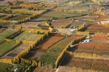 aerial;aerial-photo;aerial-photograph;aerial-photographs;aerial-photography;aerial-photos;aerial-view;aerial-views;aerials;agricultural;agriculture;Alexandra;autuminal;autumn;autumn-colour;autumn-colours;autumnal;Central-Otago;color;colors;colour;colours;country;countryside;crop;crops;deciduous;Earnscleugh;fall;farm;farming;farmland;farms;field;fields;fruit;fruit-tree;fruit-trees;horticulture;meadow;meadows;N.Z.;New-Zealand;NZ;orchard;orchards;Otago;paddock;paddocks;pasture;pastures;poplar;poplar-tree;poplar-trees;poplars;row;rows;rural;S.I.;season;seasonal;seasons;SI;South-Is.;South-Island;tree;trees