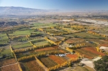 aerial;aerial-photo;aerial-photograph;aerial-photographs;aerial-photography;aerial-photos;aerial-view;aerial-views;aerials;agricultural;agriculture;Alexandra;autuminal;autumn;autumn-colour;autumn-colours;autumnal;Central-Otago;color;colors;colour;colours;country;countryside;crop;crops;deciduous;Earnscleugh;fall;farm;farming;farmland;farms;field;fields;fruit;fruit-tree;fruit-trees;horticulture;meadow;meadows;N.Z.;New-Zealand;NZ;orchard;orchards;Otago;paddock;paddocks;pasture;pastures;poplar;poplar-tree;poplar-trees;poplars;row;rows;rural;S.I.;season;seasonal;seasons;SI;South-Is.;South-Island;tree;trees