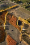 aerial;aerial-photo;aerial-photograph;aerial-photographs;aerial-photography;aerial-photos;aerial-view;aerial-views;aerials;Alexandra;autuminal;autumn;autumn-colour;autumn-colours;autumnal;Central-Otago;color;colors;colour;colours;country;countryside;crop;crops;deciduous;Earnscleugh;fall;farm;farming;farmland;farms;field;fruit;fruit-tree;fruit-trees;horticulture;N.Z.;New-Zealand;NZ;orange;orchard;orchards;Otago;pattern;patterns;poplar;poplar-tree;poplar-trees;poplars;row;rows;rural;S.I.;season;seasonal;seasons;shape;shapes;SI;South-Is.;South-Island;tree;trees;yellow
