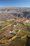 aerial;aerial-photo;aerial-photograph;aerial-photographs;aerial-photography;aerial-photos;aerial-view;aerial-views;aerials;agricultural;agriculture;Alexandra;autuminal;autumn;autumn-colour;autumn-colours;autumnal;Central-Otago;color;colors;colour;colours;country;countryside;crop;crops;deciduous;Earnscleugh;fall;farm;farming;farmland;farms;field;fields;fruit;fruit-tree;fruit-trees;horticulture;meadow;meadows;N.Z.;New-Zealand;NZ;Old-Man-Range;orchard;orchards;Otago;paddock;paddocks;pasture;pastures;poplar;poplar-tree;poplar-trees;poplars;row;rows;rural;S.I.;season;seasonal;seasons;SI;South-Is.;South-Island;tree;trees