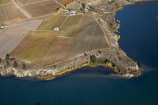 aerial;aerial-photo;aerial-photograph;aerial-photographs;aerial-photography;aerial-photos;aerial-view;aerial-views;aerials;agricultural;agriculture;autuminal;autumn;autumn-colour;autumn-colours;autumnal;Bannockburn;Bannockburn-Inlet;Cairnmuir-Terraces;Cairnmuir-Vineyard;Cairnmuir-Vineyards;Carrick-Vineyard;Carrick-Vineyards;Carrick-Winery;Carrick-Wines;Central-Otago;central-otago-vineyard;central-otago-vineyards;central-otago-wineries;central-otago-winery;color;colors;colour;colours;country;countryside;crop;crops;cultivation;deciduous;fall;farm;farming;farmland;farms;field;fields;grape;grapes;grapevine;horticulture;hydro-lake;hydro-lakes;Kawarau-Arm;lake;Lake-Dunstan;lakes;N.Z.;New-Zealand;NZ;Otago;ripple;rippled;ripples;row;rows;rural;S.I.;season;seasonal;seasons;SI;silt-up;siltation;silted;South-Is.;south-island;tree;trees;vine;vines;vineyard;vineyards;vintage;water;wineage;wineries;winery;wines