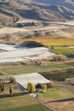 aerial;aerial-photo;aerial-photograph;aerial-photographs;aerial-photography;aerial-photos;aerial-view;aerial-views;aerials;agricultural;agriculture;autuminal;autumn;autumn-colour;autumn-colours;autumnal;Central-Otago;central-otago-vineyard;central-otago-vineyards;central-otago-wineries;central-otago-winery;color;colors;colour;colours;country;countryside;crop;crops;cultivation;deciduous;fall;farm;farming;farmland;farms;field;fields;Gibbston-Valley;Gibbston-Valley-Vineyard;Gibbston-Valley-Vineyards;Gibston-Valley;grape;grapes;grapevine;horticulture;Kawarau-Gorge;N.Z.;new-zealand;NZ;Otago;Queenstown-Region;row;rows;rural;S.I.;season;seasonal;seasons;SI;South-Is.;South-Island;Southern-Lakes;Southern-Lakes-District;Southern-Lakes-Region;tree;trees;vine;vines;vineyard;vineyards;vintage;wineage;wineries;winery;wines