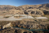 aerial;aerial-photo;aerial-photograph;aerial-photographs;aerial-photography;aerial-photos;aerial-view;aerial-views;aerials;agricultural;agriculture;Central-Otago;central-otago-vineyard;central-otago-vineyards;central-otago-wineries;central-otago-winery;country;countryside;crop;crops;cultivation;farm;farming;farmland;farms;field;fields;Gibbston-Valley;Gibbston-Valley-Vineyard;Gibbston-Valley-Vineyards;Gibston-Valley;grape;grapes;grapevine;horticulture;Kawarau-Gorge;Kawarau-River;meadow;meadows;Mount-Edward;Mt-Edward;Mt.-Edward;N.Z.;New-Zealand;NZ;Otago;paddock;paddocks;pasture;pastures;Peregrine-Vineyard;Peregrine-Vineyards;Queenstown-Region;river;rivers;row;rows;rural;S.I.;SI;South-Is.;south-island;Southern-Lakes;Southern-Lakes-District;Southern-Lakes-Region;vine;vines;vineyard;vineyards;vintage;wineage;wineries;winery;wines