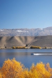 autuminal;autumn;autumn-colour;autumn-colours;autumnal;boat;boats;Central-Otago;Clutha-Arm;color;colors;colour;colours;Cromwell;cruise;cruises;deciduous;fall;golden;lake;Lake-Dunstan;lakes;launch;launches;N.Z.;New-Zealand;NZ;Otago;Pisa-Range;pleasure-boat;pleasure-boats;S.I.;season;seasonal;seasons;SI;South-Is.;South-Island;speed-boat;speed-boats;Sugarloaf;tree;trees;willow;willow-tree;willow-trees;willows;yellow