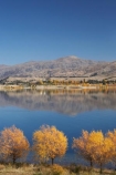 autuminal;autumn;autumn-colour;autumn-colours;autumnal;calm;Carrick-Range;Central-Otago;Clutha-Arm;color;colors;colour;colours;Cromwell;deciduous;fall;golden;lake;Lake-Dunstan;lakes;N.Z.;New-Zealand;NZ;Otago;placid;quiet;reflection;reflections;S.I.;season;seasonal;seasons;serene;SI;smooth;South-Is.;South-Island;still;tranquil;tree;trees;water;willow;willow-tree;willow-trees;willows;yellow