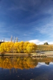 agricultural;agriculture;autuminal;autumn;autumn-colour;autumn-colours;autumnal;Bannockburn;Bannockburn-Inlet;calm;Central-Otago;central-otago-vineyard;central-otago-vineyards;central-otago-wineries;central-otago-winery;color;colors;colour;colours;country;countryside;crop;crops;cultivation;deciduous;fall;farm;farming;farmland;farms;field;fields;golden;grape;grapes;grapevine;horticulture;lake;Lake-Dunstan;lakes;leaf;leaves;N.Z.;new-zealand;NZ;Otago;placid;quiet;reflection;reflections;row;rows;rural;S.I.;season;seasonal;seasons;serene;SI;smooth;South-Island;still;tranquil;tree;trees;vine;vines;vineyard;vineyards;vintage;water;willow;willow-tree;willow-trees;willows;wineage;wineries;winery;wines;yellow