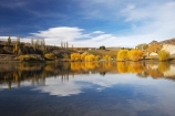 agricultural;agriculture;autuminal;autumn;autumn-colour;autumn-colours;autumnal;Bannockburn;Bannockburn-Inlet;calm;Central-Otago;central-otago-vineyard;central-otago-vineyards;central-otago-wineries;central-otago-winery;color;colors;colour;colours;country;countryside;crop;crops;cultivation;deciduous;fall;farm;farming;farmland;farms;field;fields;grape;grapes;grapevine;horticulture;lake;Lake-Dunstan;lakes;leaf;leaves;N.Z.;new-zealand;NZ;Otago;placid;quiet;reflection;reflections;row;rows;rural;S.I.;season;seasonal;seasons;serene;SI;smooth;South-Island;still;tranquil;tree;trees;vine;vines;vineyard;vineyards;vintage;water;willow;willow-tree;willow-trees;willows;wineage;wineries;winery;wines