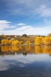 agricultural;agriculture;autuminal;autumn;autumn-colour;autumn-colours;autumnal;Bannockburn;Bannockburn-Inlet;calm;Central-Otago;central-otago-vineyard;central-otago-vineyards;central-otago-wineries;central-otago-winery;color;colors;colour;colours;country;countryside;crop;crops;cultivation;deciduous;fall;farm;farming;farmland;farms;field;fields;golden;grape;grapes;grapevine;horticulture;lake;Lake-Dunstan;lakes;leaf;leaves;N.Z.;new-zealand;NZ;Otago;placid;quiet;reflection;reflections;row;rows;rural;S.I.;season;seasonal;seasons;serene;SI;smooth;South-Island;still;tranquil;tree;trees;vine;vines;vineyard;vineyards;vintage;water;willow;willow-tree;willow-trees;willows;wineage;wineries;winery;wines;yellow
