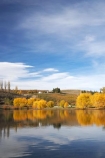 agricultural;agriculture;autuminal;autumn;autumn-colour;autumn-colours;autumnal;Bannockburn;Bannockburn-Inlet;calm;Central-Otago;central-otago-vineyard;central-otago-vineyards;central-otago-wineries;central-otago-winery;color;colors;colour;colours;country;countryside;crop;crops;cultivation;deciduous;fall;farm;farming;farmland;farms;field;fields;golden;grape;grapes;grapevine;horticulture;lake;Lake-Dunstan;lakes;leaf;leaves;N.Z.;new-zealand;NZ;Otago;placid;quiet;reflection;reflections;row;rows;rural;S.I.;season;seasonal;seasons;serene;SI;smooth;South-Island;still;tranquil;tree;trees;vine;vines;vineyard;vineyards;vintage;water;willow;willow-tree;willow-trees;willows;wineage;wineries;winery;wines;yellow