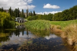 calm;Central-Otago;central-otago-vineyard;central-otago-vineyards;central-otago-wineries;central-otago-winery;duck-pond;duck-ponds;N.Z.;New-Zealand;Northburn-Shed;Northburn-Station;Northburn-Vineyard;Northburn-Winery;NZ;Otago;placid;pond;ponds;quiet;reflection;reflections;rural;S.I.;serene;SI;smooth;South-Is;South-Island;Sth-Is;still;The-Shed;The-Shed-Cellar-Door-and-Restaurant;tranquil;vineyard;vineyards;water;wineage;wineries;winery;wines;Woolshed