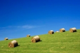 agricultural;agriculture;blue;country;countryside;crop;crops;farm;farming;farmland;farms;field;fields;green;hay;hay-bale;hay-bales;horticulture;Lawrence;meadow;meadows;New-Zealand;Otago;paddock;paddocks;pasture;pastures;rural;South-Island
