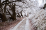 Alexandra;beautiful;Butchers-Dam;calm;calmness;Central-Otago;clean;clear;cold;Coldness;Color;Colour;countryside;Daytime;dusty;Exterior;freeze;freezing;freezing-fog;frost;Frosted;frosty;gravel-road;gravel-roads;high-country;hoar-frost;hoar-frosts;Hoarfrost;hoarfrosts;ice;ice-crystals;icy;icy-road;icy-roads;idyllic;Landscape;Landscapes;metal-road;metal-roads;metalled-road;metalled-roads;N.Z.;natural;Nature;new-zealand;NZ;Otago;Outdoor;Outdoors;Outside;peaceful;Peacefulness;phenomena;phenomenon;pure;Quiet;Quietness;rime;rime-ice;road;roads;rural;S.I.;Scenic;Scenics;Season;Seasons;SI;silence;slippery-road;slippery-roads;south-island;spectacular;stunning;tranquil;tranquility;tree;trees;view;water;weather;weeping-willow;weeping-willows;White;willow;willow-tree;willow-trees;willows;winter;winter-driving;winter-driving-conditions;winter-road;winter-roads;Wintertime;wintery;wintry