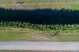 aerial;Aerial-drone;Aerial-drones;aerial-image;aerial-images;aerial-photo;aerial-photograph;aerial-photographs;aerial-photography;aerial-photos;aerial-view;aerial-views;aerials;agricultural;agriculture;Canterbury;Canterbury-Plain;Canterbury-Plains;country;countryside;Darfield;Drone;Drones;farm;farming;farmland;farms;field;fields;hedge;hedges;meadow;meadows;Mid-Canterbury;N.Z.;New-Zealand;NZ;paddock;paddocks;pasture;pastures;Quadcopter-aerial;Quadcopters-aerials;rural;S.I.;shelter-belt;shelter-belts;shelter_belt;shelter_belts;shelterbelt;shelterbelts;SI;South-Is;South-Island;Sth-Is.;U.A.V.-aerial;UAV-aerials;wind-break;wind-breaks;wind_break;wind_breaks;windbreak;windbreaks