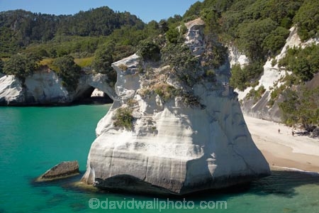 3721;aerial;aerial-photo;aerial-photograph;aerial-photographs;aerial-photography;aerial-photos;aerial-view;aerial-views;aerials;bay;bays;Cathedral-Cove;Cathedral-Cove-recreation-reserve;coast;coastal;coastline;coastlines;coasts;coromandel;coromandel-peninsula;cove;coves;foreshore;geological;geology;island;marine-reserve;marine-reserves;Mercury-Bay;N.I.;N.Z.;new;New-Zealand;NI;north;North-Is;north-is.;North-Island;NZ;ocean;peninsula;rock;rock-formation;rock-formations;rock-outcrop;rock-outcrops;rock-stack;rock-stacks;rock-tor;rock-torr;rock-torrs;rock-tors;rocks;sea;sea-stack;sea-stacks;shore;shoreline;shorelines;shores;stone;Te-Whanganui-A-Hei-Marine-Reserve;Te-Whanganui_A_Hei-Marine-Reserve;Waikato;water;zealand