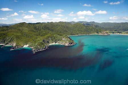 4013;aerial;aerial-photo;aerial-photograph;aerial-photographs;aerial-photography;aerial-photos;aerial-view;aerial-views;aerials;algae;algal-bloom;algal-blooms;coast;coastal;coastline;coastlines;coasts;coromandel;coromandel-peninsula;foreshore;island;Kennedy-Bay;N.I.;N.Z.;new;New-Zealand;NI;north;North-Is;north-is.;North-Island;NZ;ocean;peninsula;sea;shore;shoreline;shorelines;shores;Waikato;water;zealand